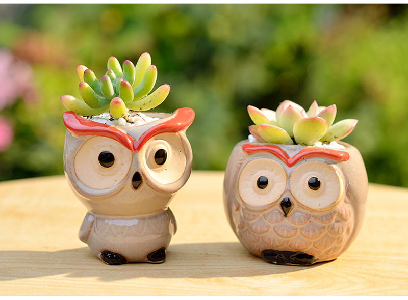 Hoot Hoot Mini Owl Ceramic Planter