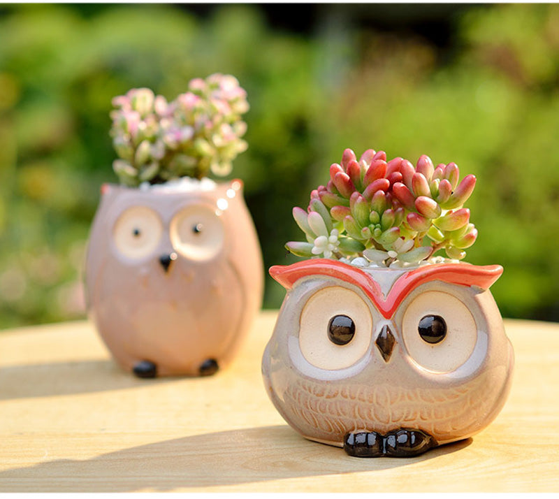 Hoot Hoot Mini Owl Ceramic Planter