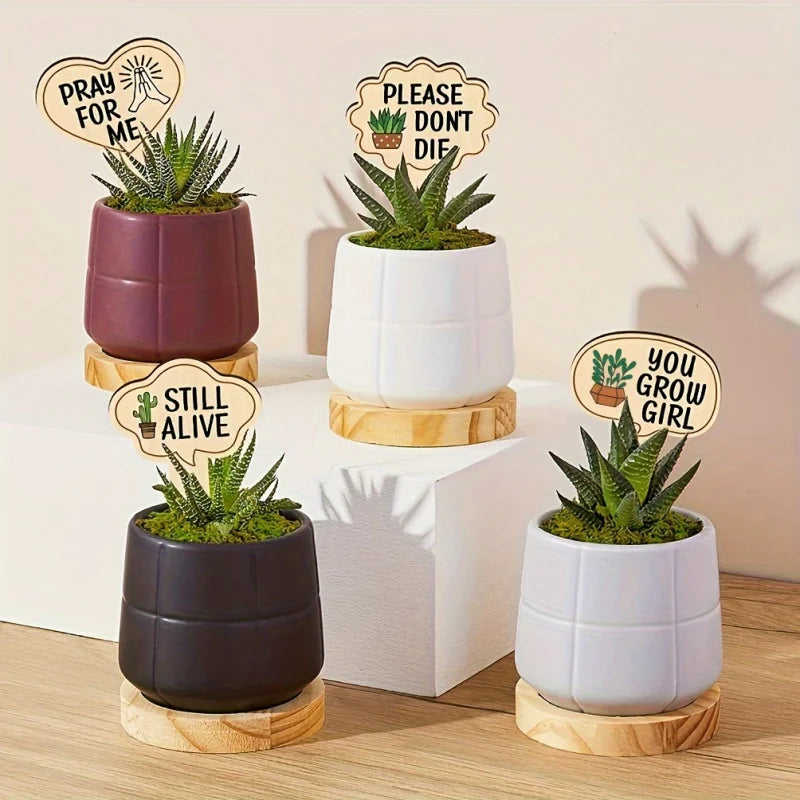 Funny Wooden Plant Markers