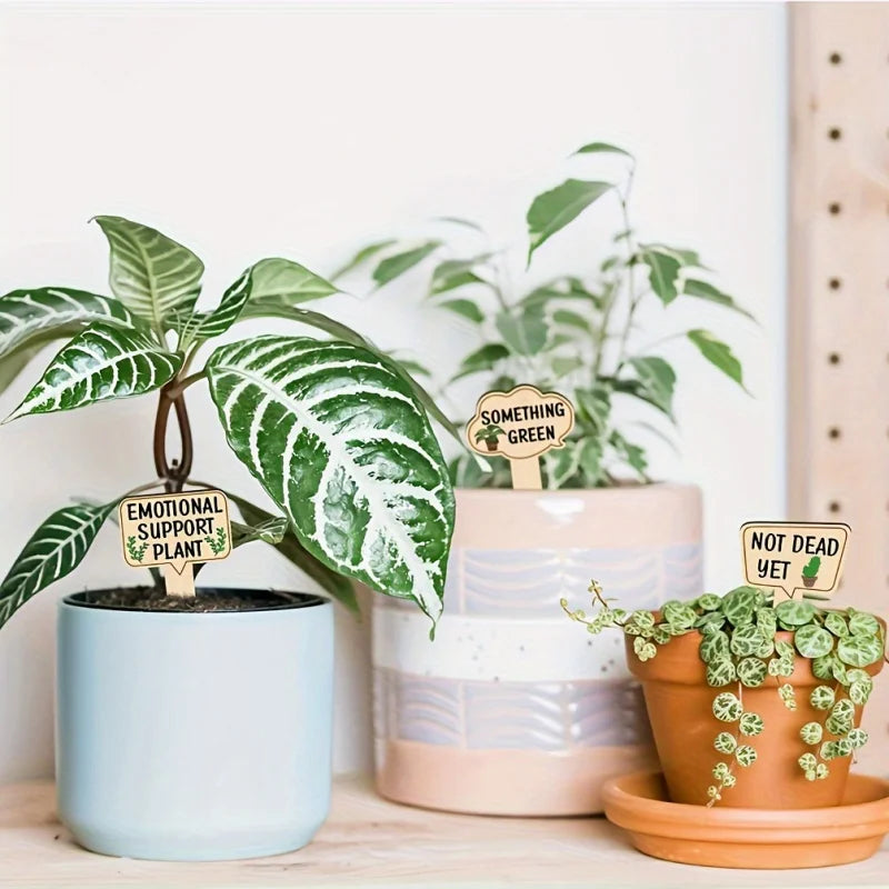 Funny Wooden Plant Markers