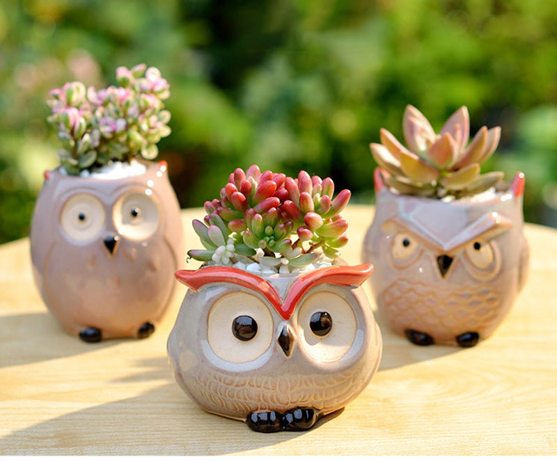 Hoot Hoot Mini Owl Ceramic Planter