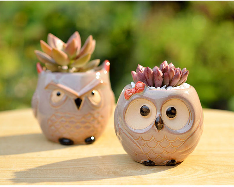 Hoot Hoot Mini Owl Ceramic Planter