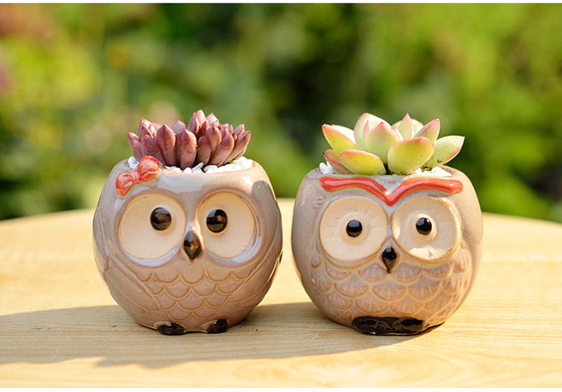 Hoot Hoot Mini Owl Ceramic Planter