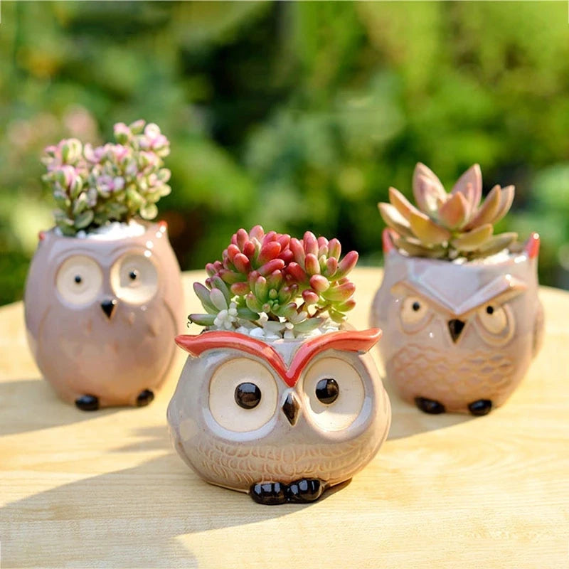 Hoot Hoot Mini Owl Ceramic Planter