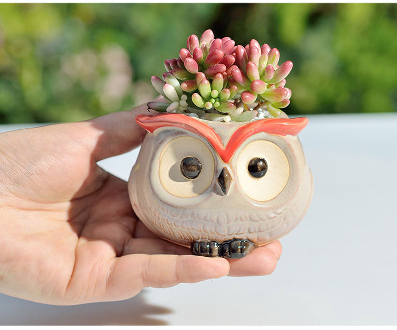 Hoot Hoot Mini Owl Ceramic Planter